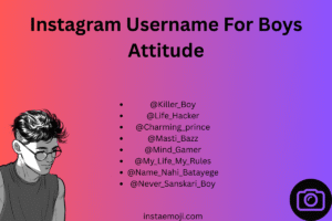 Instagram Username For Boys Attitude