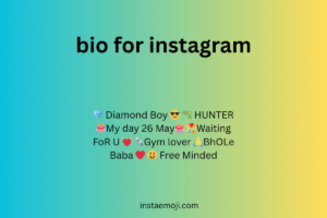 bio for instagram