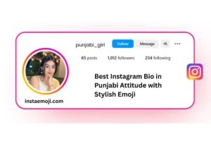Read more about the article 250+ Best Instagram Bio in Punjabi Attitude with Stylish Emoji [2025]