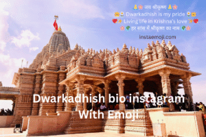Read more about the article 260+ Best Dwarkadhish Bio for Instagram With Emoji (2025)