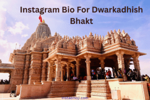 Instagram Bio For Dwarkadhish Bhakt