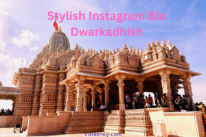 Stylish Instagram Bio Dwarkadhish