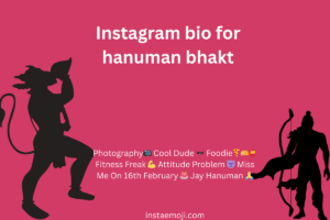 Instagram bio for hanuman bhakt