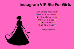 Instagram VIP Bio For Girls