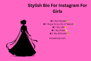 Stylish Bio For Instagram For Girls