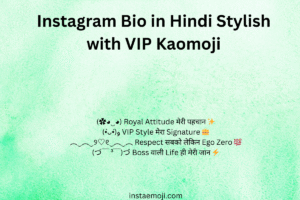 Instagram Bio in Hindi Stylish with VIP Kaomoji