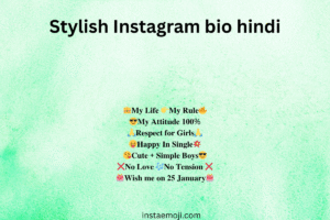 Stylish Instagram bio hindi