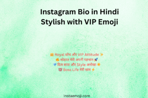 Read more about the article 300+ Best Instagram Bio in Hindi Stylish with VIP Emoji(2025)