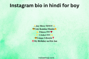 Instagram bio in hindi for boy