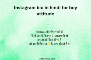 Instagram bio in hindi for boy attitude