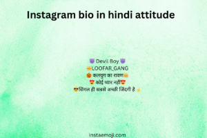 Instagram bio in hindi attitude