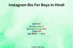 Instagram Bio For Boys in Hindi