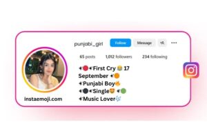 Instagram Bio in Punjabi