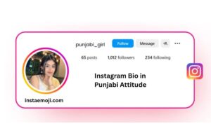 Instagram Bio in Punjabi Attitude