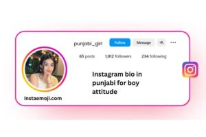 Instagram bio in punjabi for boy attitude