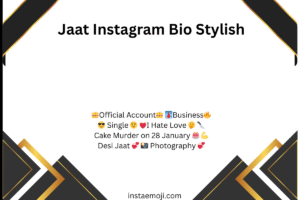 Jaat Instagram Bio Stylish