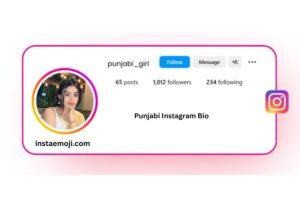 Punjabi Instagram Bio