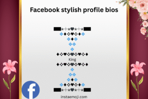 Facebook stylish profile bios