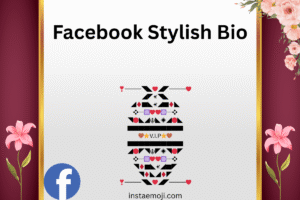 Facebook Stylish Bio