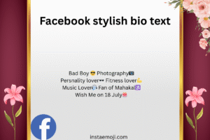 Facebook stylish bio text