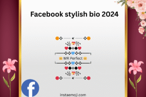 Facebook stylish bio 2024