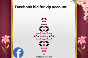 Facebook bio for vip account
