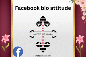 Facebook bio attitude