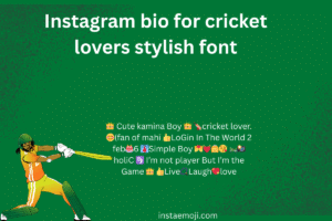 Instagram bio for cricket lovers stylish font