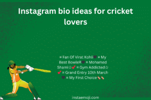 Instagram bio ideas for cricket lovers