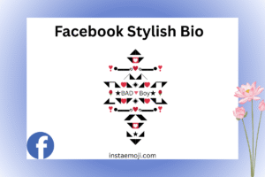 Facebook Stylish Bio
