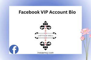 Facebook VIP Account Bio