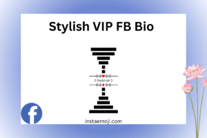 Stylish VIP FB Bio