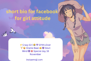 short bio for facebook for girl attitude