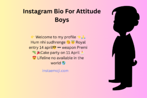 Instagram Bio For Attitude Boys