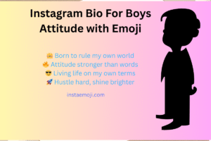 Instagram Bio For Boys Attitude with Emoji