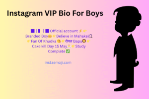 Attitude Bio For Instagram For Boys