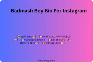 Badmash Boy Bio For Instagram