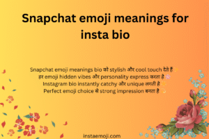 Snapchat emoji meanings for insta bio