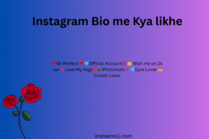 Instagram Bio me Kya likhe