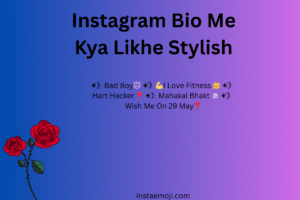 Instagram Bio Me Kya Likhe Stylish