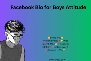 Facebook Bio for Boys Attitude