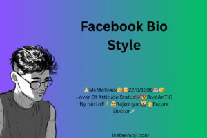 Facebook Bio Style