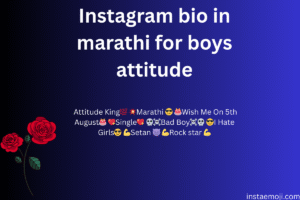 Instagram bio in marathi for boys attitude